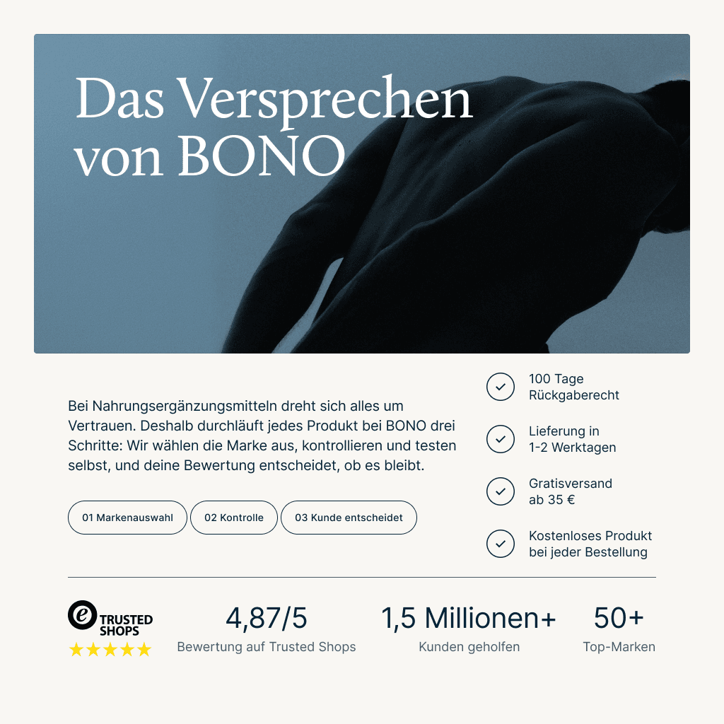Das Versprechen von BONO
