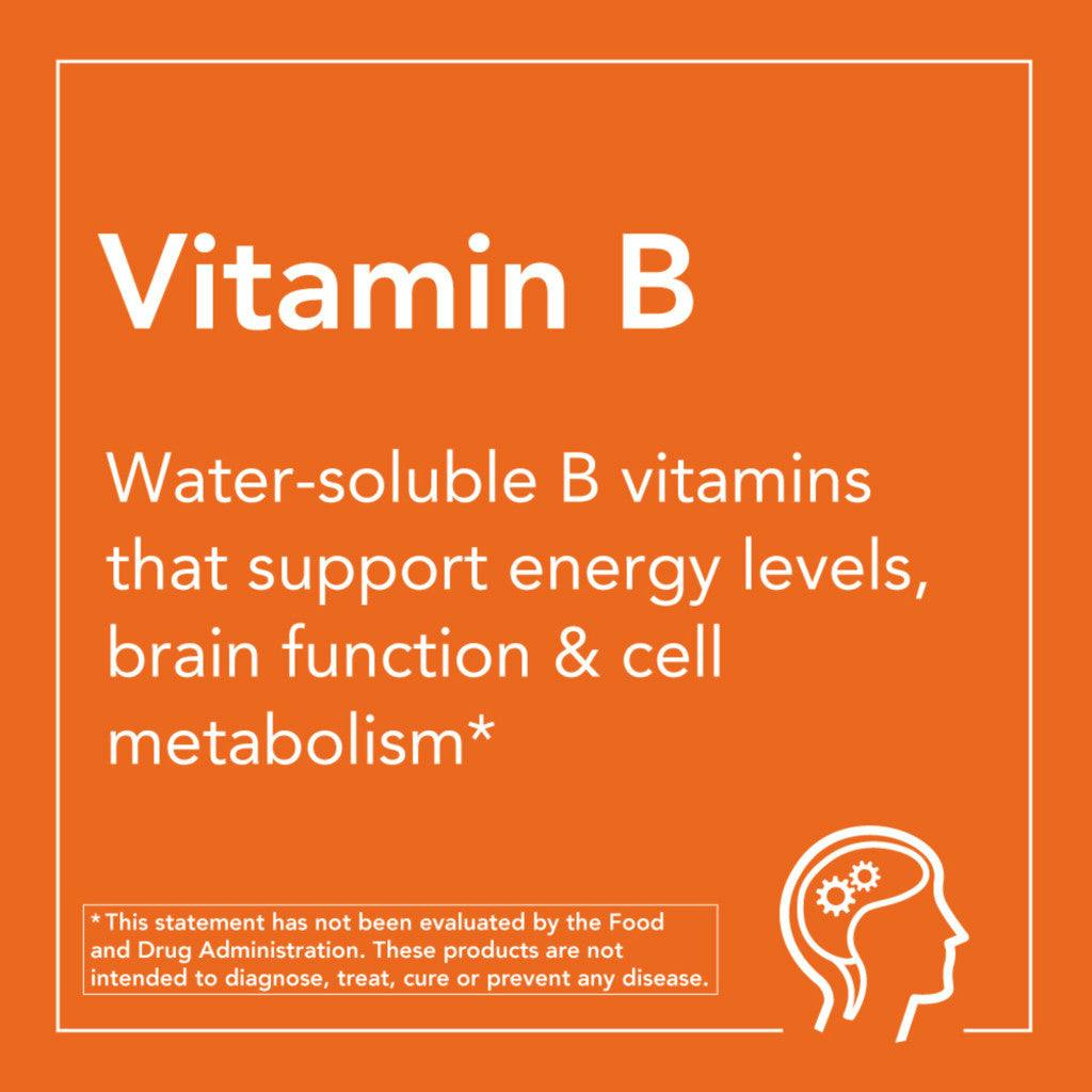 now foods vitamine b6 100mg 100 vegetarische capsules voorkant 5