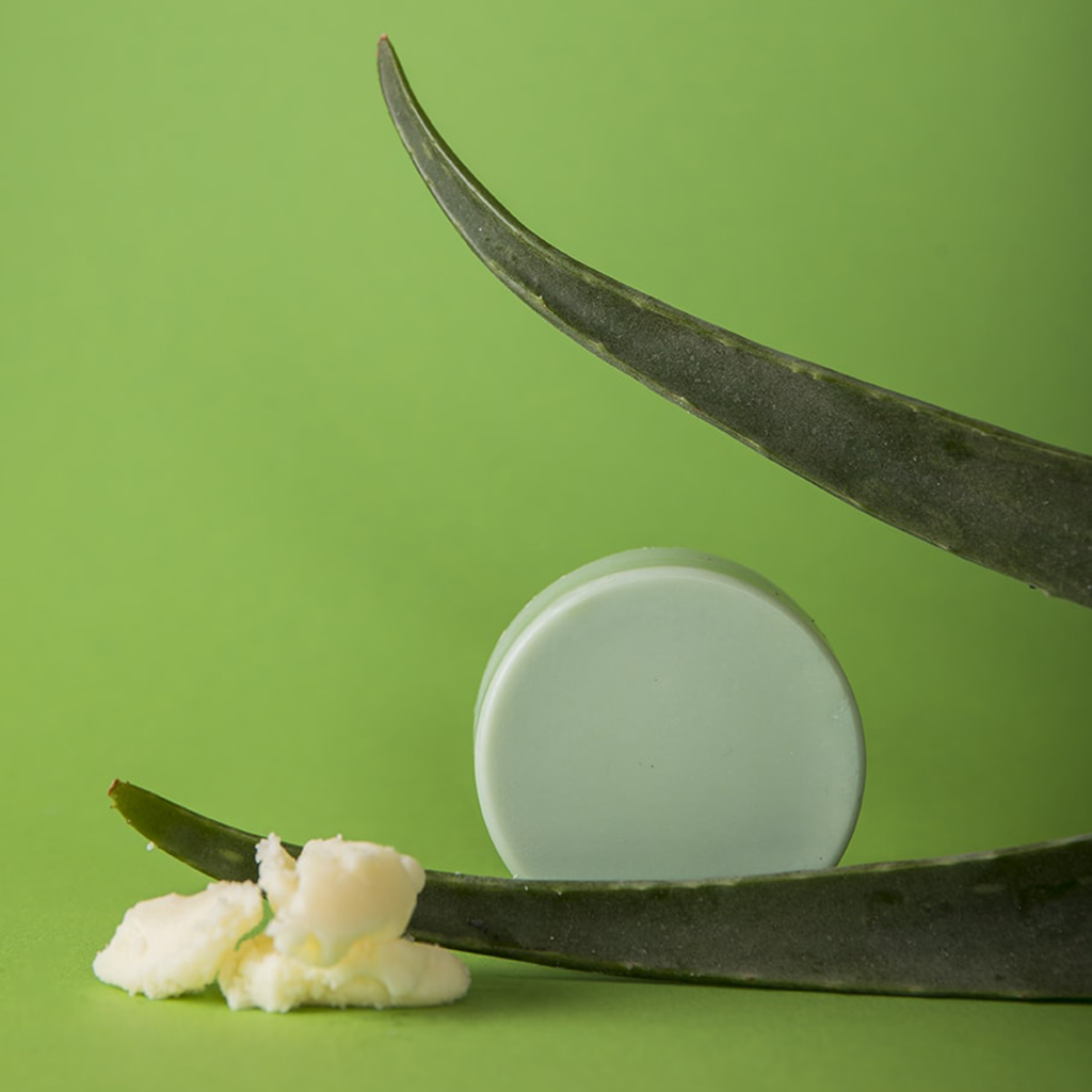 plastikfreier und natürlicher Conditioner-Riegel für gepflegtes Haar Aloe Vera Love Plant