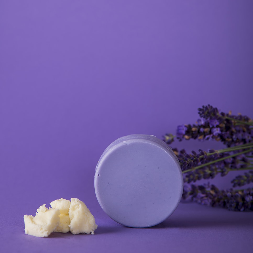 plastikfreier und natürlicher Conditioner-Riegel gegen Gelbstiche Lavendel-Bliss-Lavendelpflanze